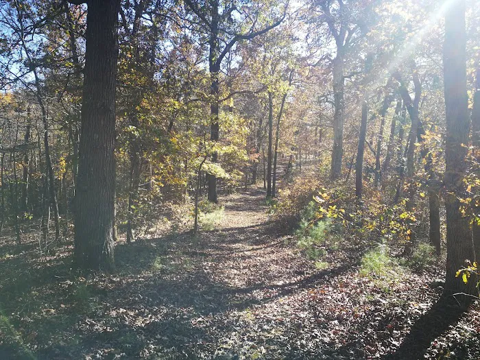 Lake Wedington Campground 3