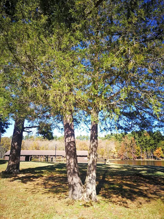 Lake Wedington Campground 4