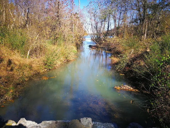Lake Wedington Campground 7