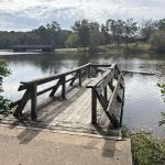 Lake Wedington Campground
