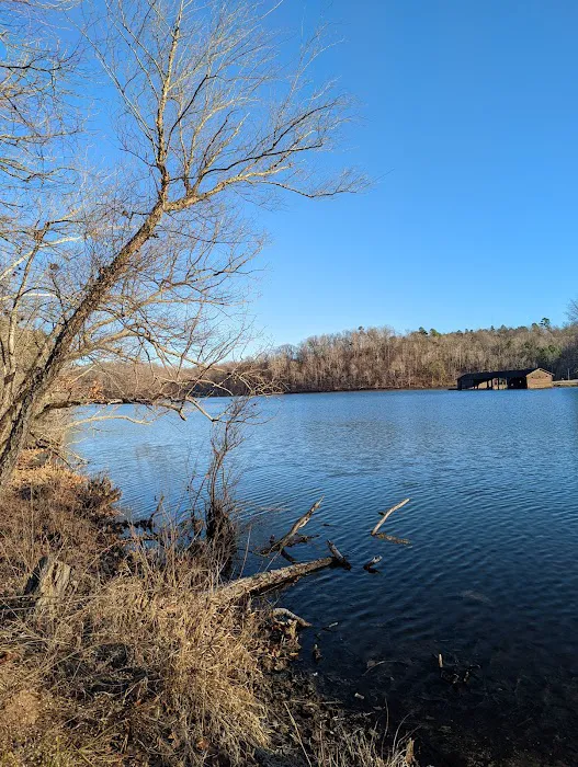 Lake Wedington Campground 4