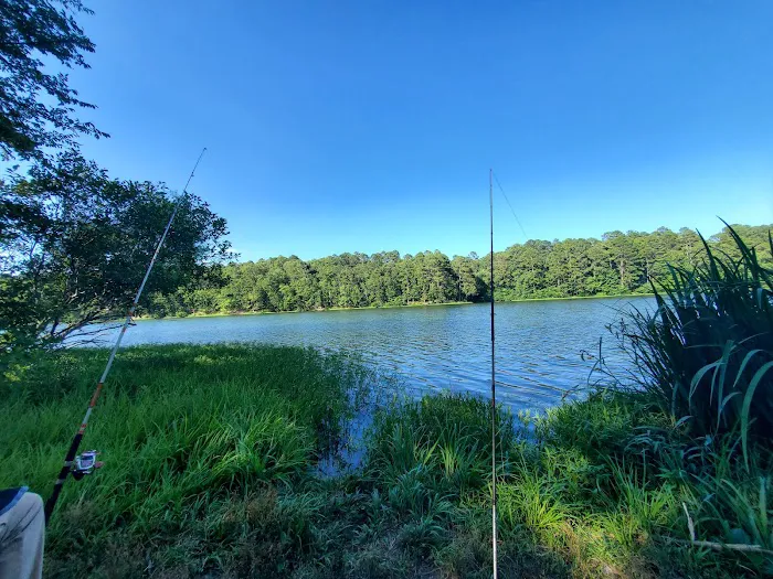 Lake Wedington Campground 2