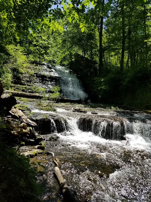 Lake Wedington Campground 7