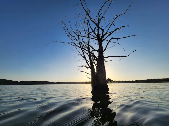 Elk Creek Landing Public Use Area 8