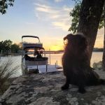 Lighthouse Pointe at Lake Carl Blackwell