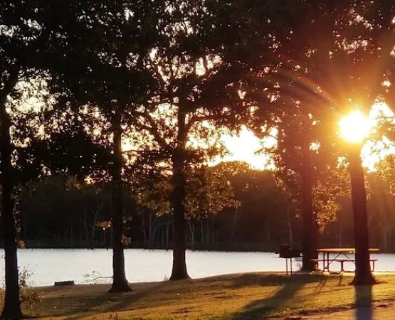 Bell Cow Lake Campground - Area A