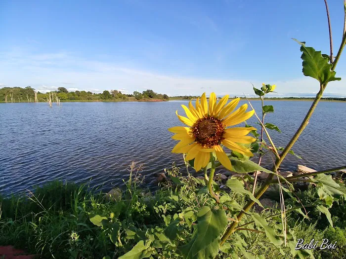 Bell Cow Lake Campground - Area A 4
