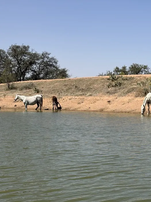 It’s a wendelful life ranch 0