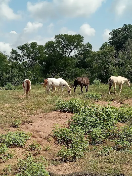 It’s a wendelful life ranch 2
