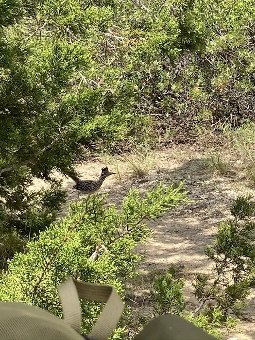 Hill Country Wilderness Camp Area 3