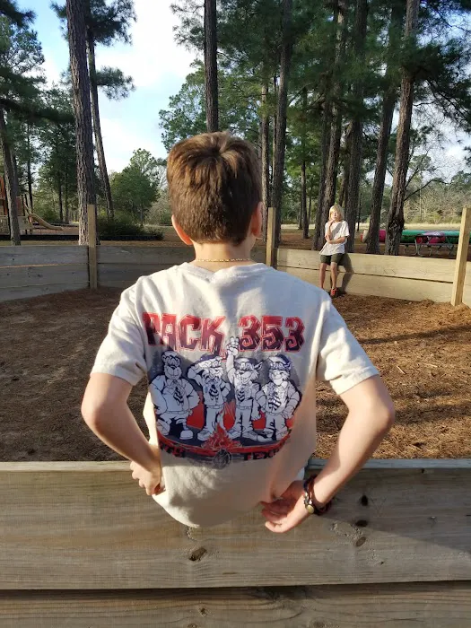 Cub World 3