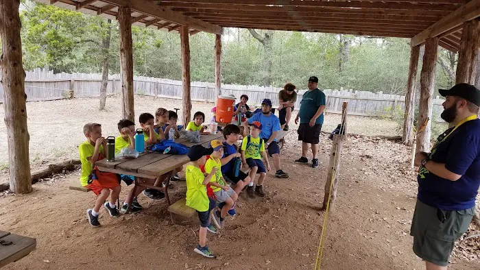 Cub World 6
