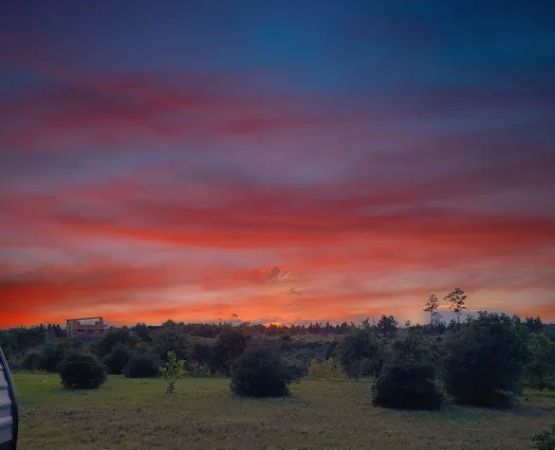 Camp Ombré