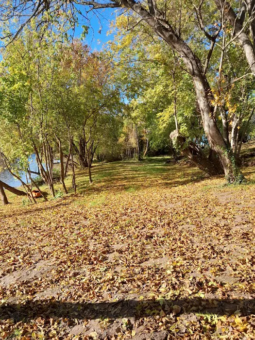 Texas Music River Ranch 6