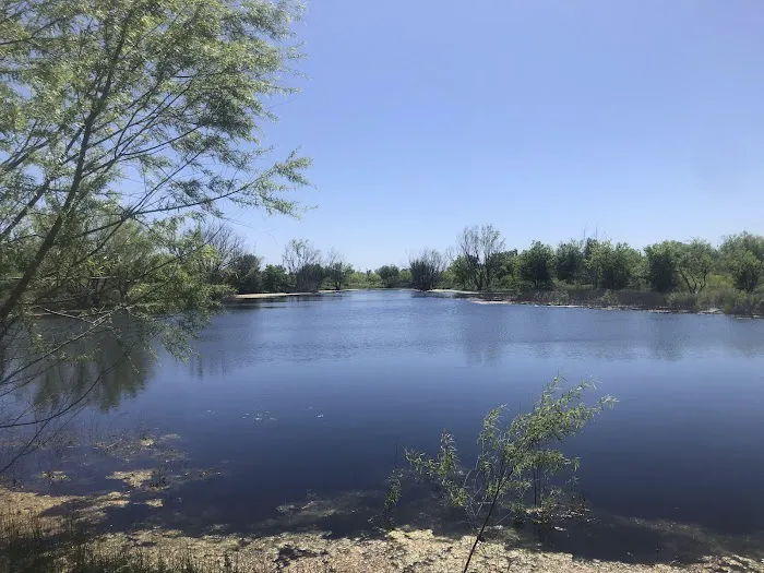 Melvin’s Pond & Camp 8