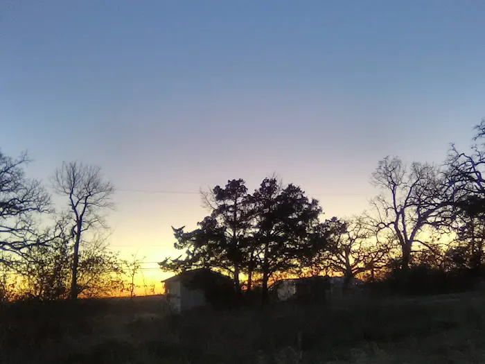Texas Music Ranch 3