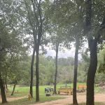 Texas Conference of Clubs