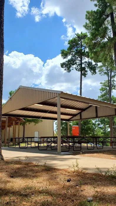 Camp Lost Pines 3