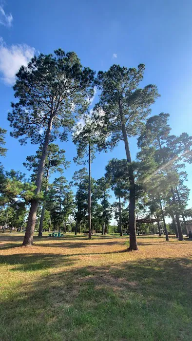 Camp Lost Pines 5