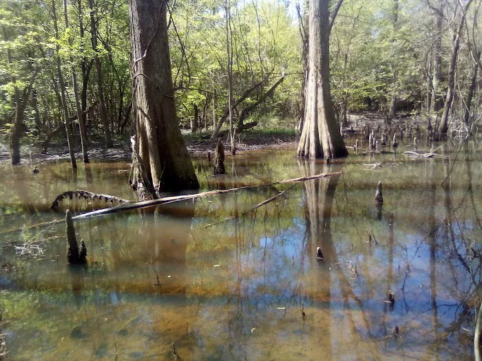 Moodys Landing 3