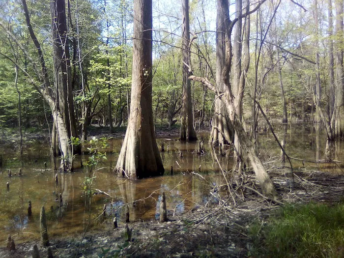Moodys Landing 7