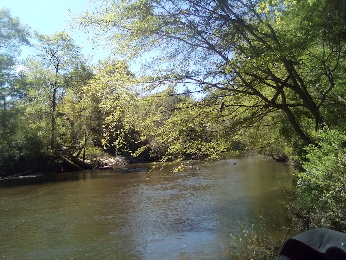 Moodys Landing 8