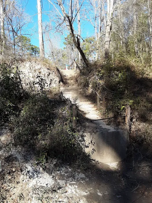 Janice Landing/ US Forest Service 8