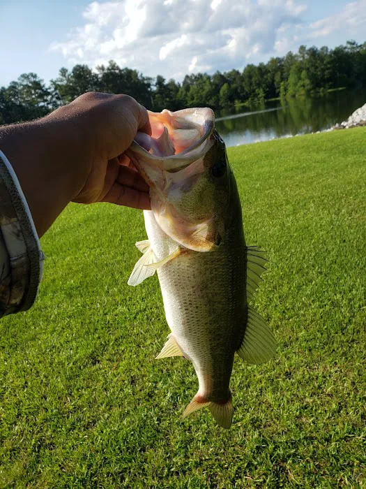 Lake Mike Conner 2