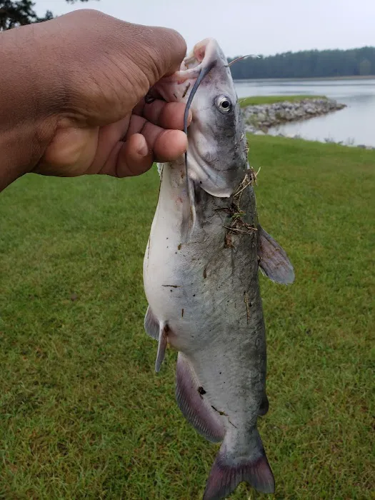 Lake Mike Conner 8