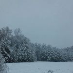 Forestry Department Jones Work Center