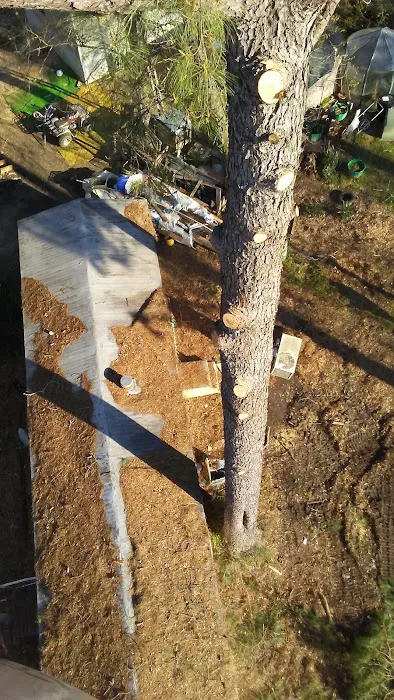 Forestry Department Jones Work Center 5