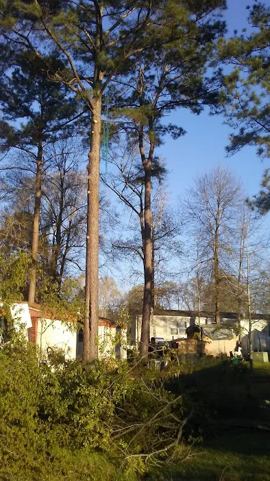 Forestry Department Jones Work Center 9