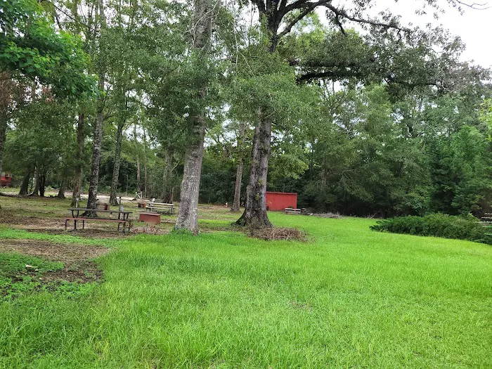 Woodland Farm 5