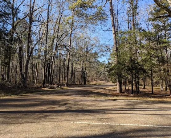 Rocky Springs Campground