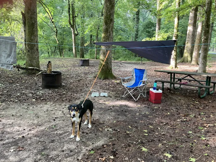 Rocky Springs Campground 1