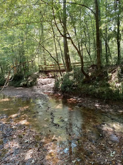 Rocky Springs Campground 6