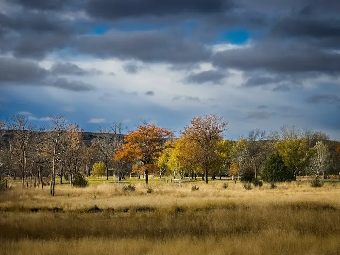 Farm Island State Recreation Area Campground 8