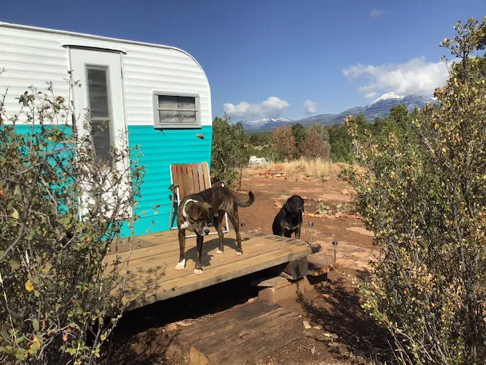 Abajo Mountain Camp 1