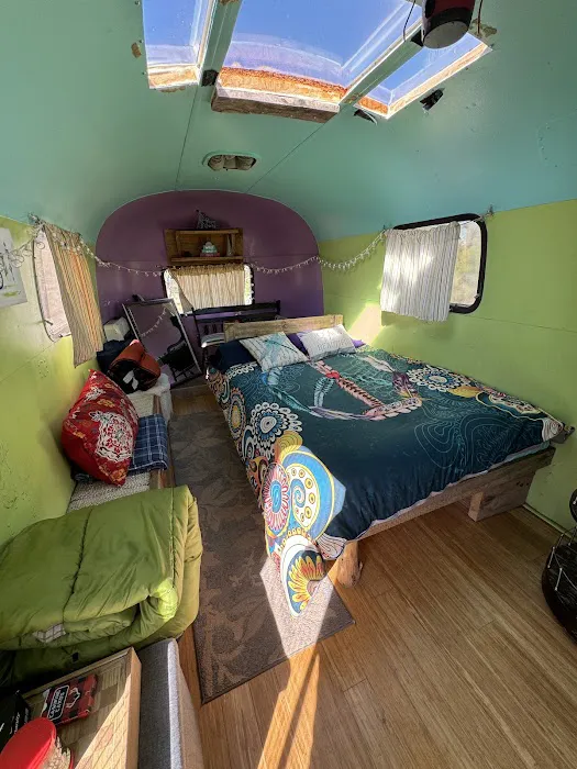Abajo Mountain Camp 0