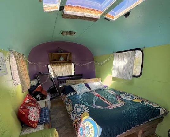 Abajo Mountain Camp