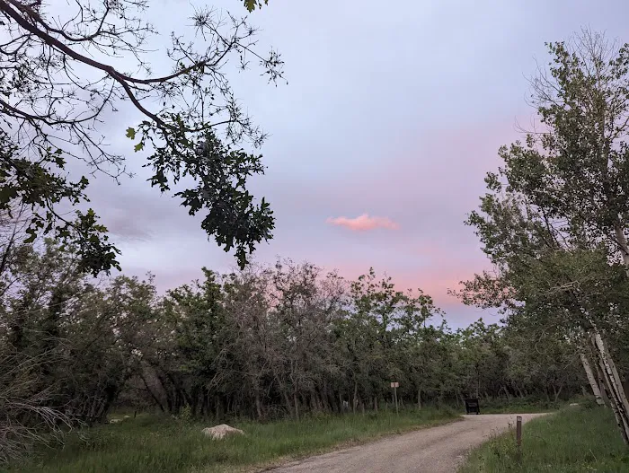 Dalton Spring Campground 8