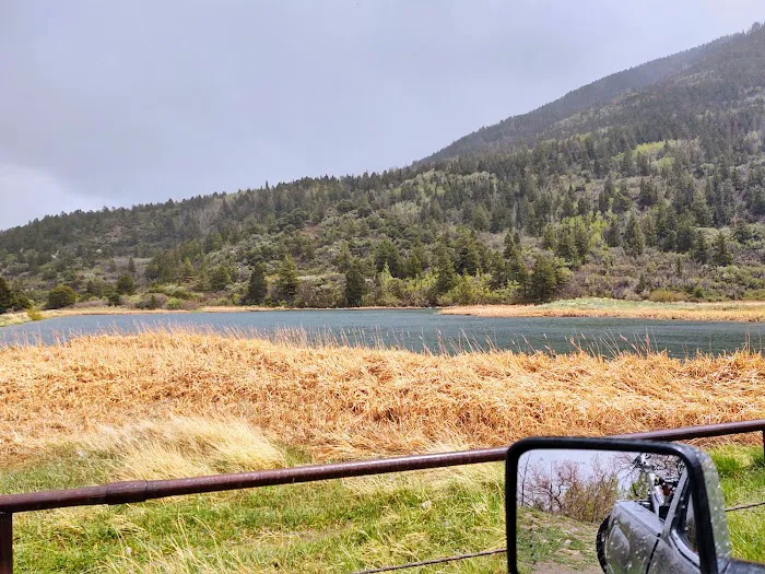 Dalton Spring Campground 6