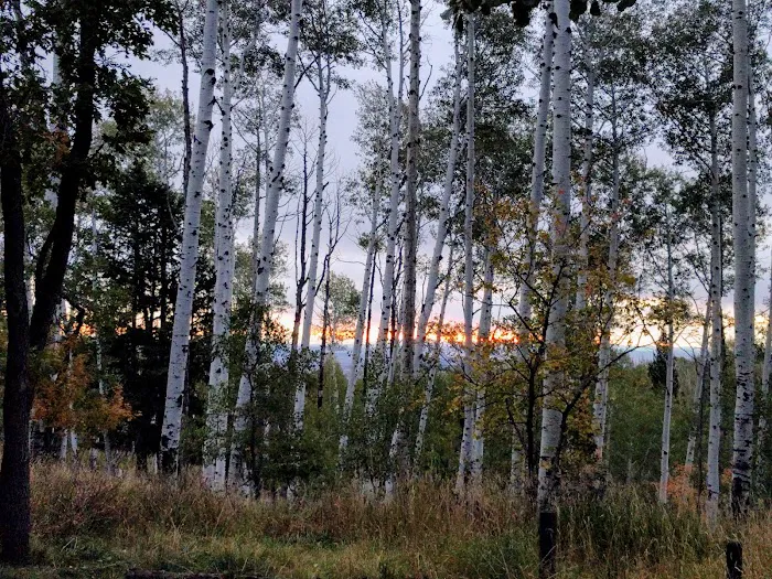 Buckboard Campground 4