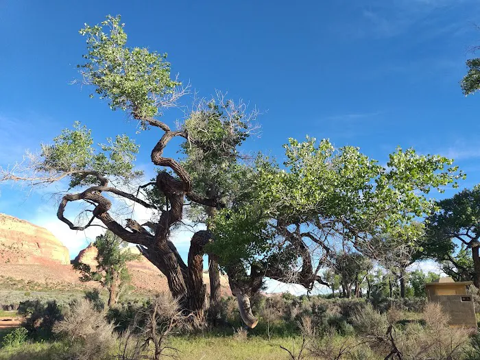 Comb Wash Campground 1