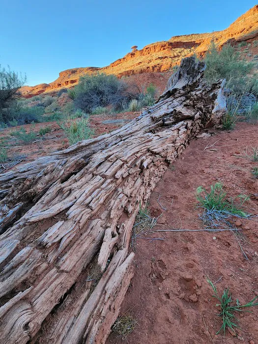 Mexican Hat Rocks Dry Camping 5
