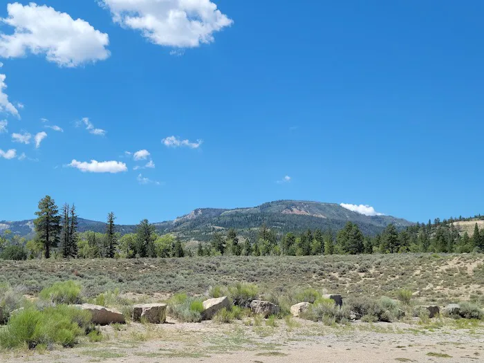 Joes Valley Pavilion Group Campground 2
