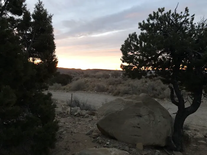 New Joes Camping Area 6