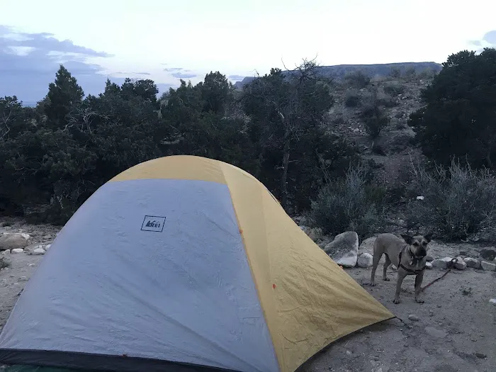 New Joes Camping Area 9