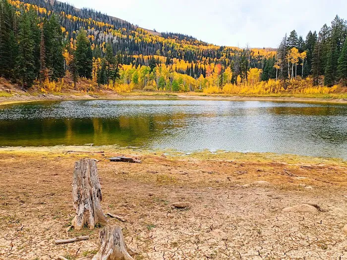 New Canyon Reservoir 0
