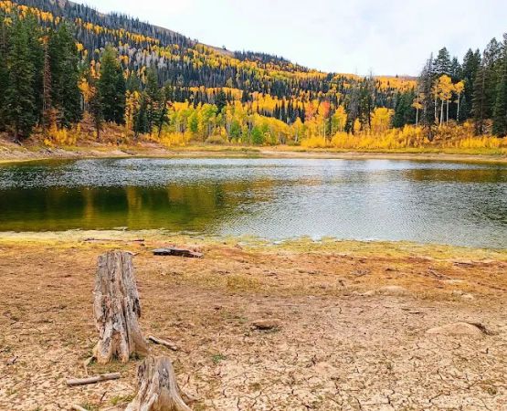 New Canyon Reservoir